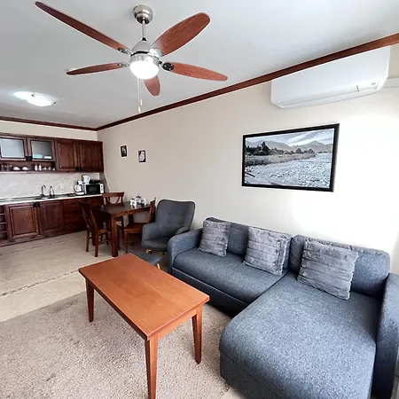 Private Luxury شقة *