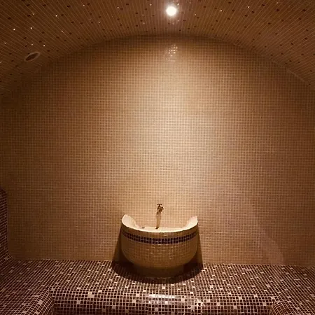 Private Luxury Daire Bansko